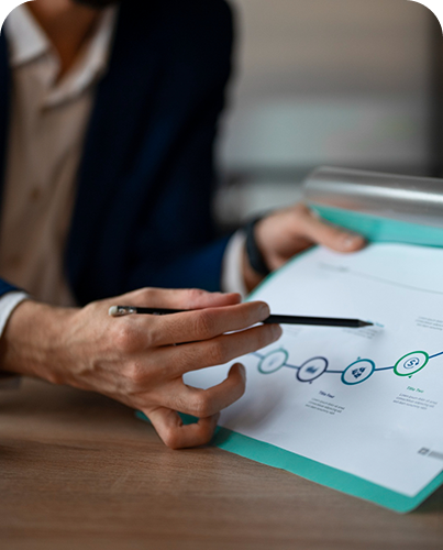 Process Flow (Coming Soon)